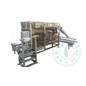 Машина для фасовки пакетов дой-пак в гофрокороба SH-ZX04-2